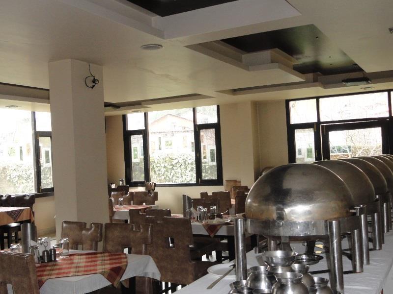 Hotel Park Paradise Manali Manali (Himachal Pradesh) Bagian luar foto